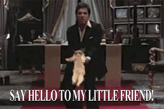 Say hello to my little friend! - Reaction GIFs