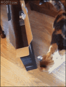 http://www.reactiongifs.com/when-you-get-yourself-into-a-situation/