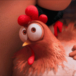 Suspicious Chicken.