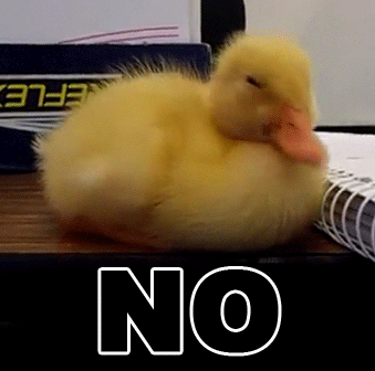 Duckling No