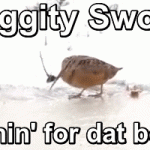 Swiggity Swooty