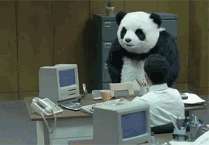 f-this-panda