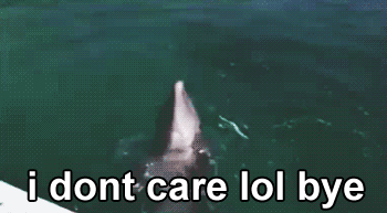 dolphin-dont-care.gif