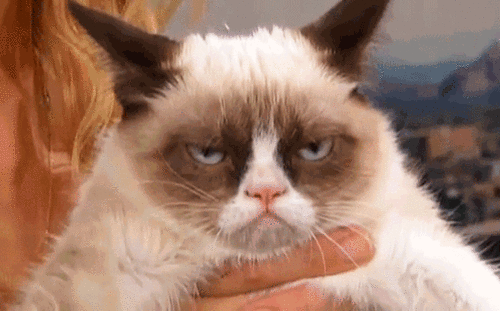 Grumpy Cat - Reaction GIFs