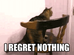 What’s up with all the cat GIFs?