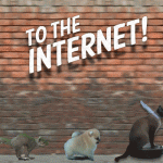 To the INTERNET!