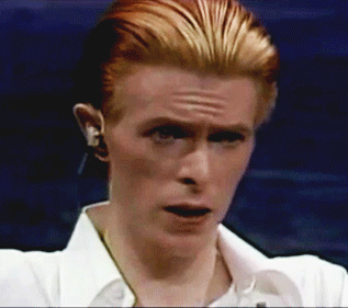 Bowie is Unsure