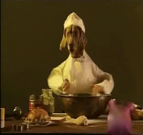 Cooking Dog