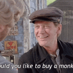 Buy A Monkey?