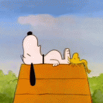 Snoopy Napping