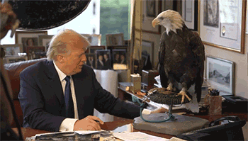 Trump vs. Bald Eagle
